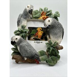 african gray Parrots Birds resin 3.5” by 5” picture frame 3D E&S Imports